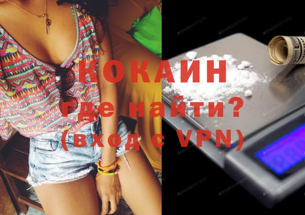 дмт Богданович