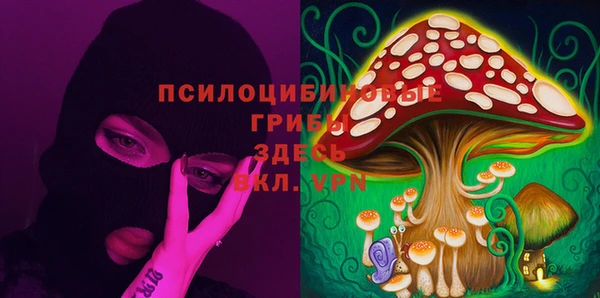 ГАЛЛЮЦИНОГЕННЫЕ ГРИБЫ Нягань