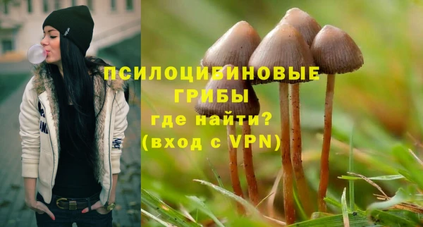 ГАЛЛЮЦИНОГЕННЫЕ ГРИБЫ Нягань