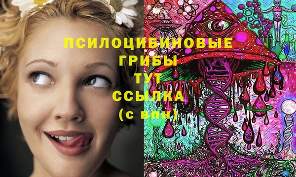 ГАЛЛЮЦИНОГЕННЫЕ ГРИБЫ Нягань