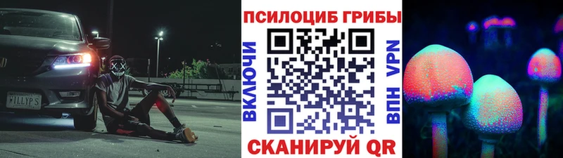 omg ссылки  где можно купить   Королёв  Галлюциногенные грибы GOLDEN TEACHER 